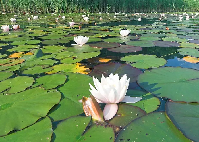 Rutar סנט קנזיאן